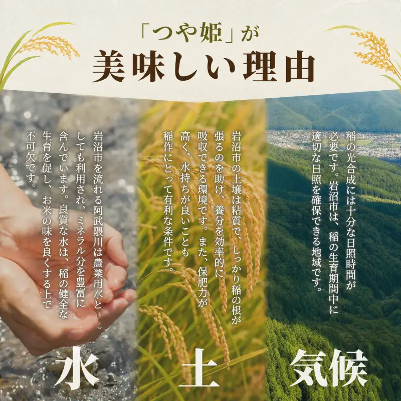 【 令和8年産 】【在庫限定】 【食味鑑定士厳選】 つや姫 10kg (5kg 2袋) 新米 お米 精米 国産米 米 ご飯 おにぎり お弁当 岩沼産 東北 宮城県産 宮城米
