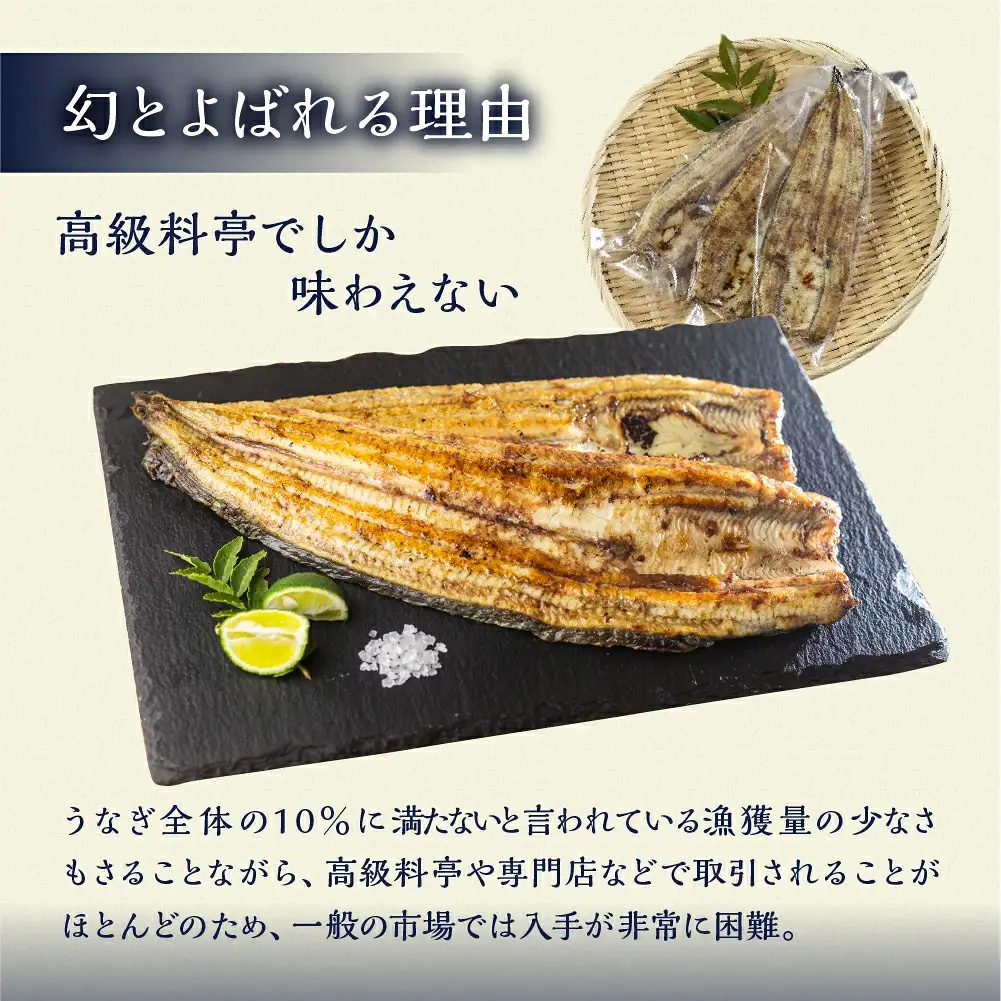 最高級 特上 幻の青うなぎ 5尾 うなぎ 白焼 