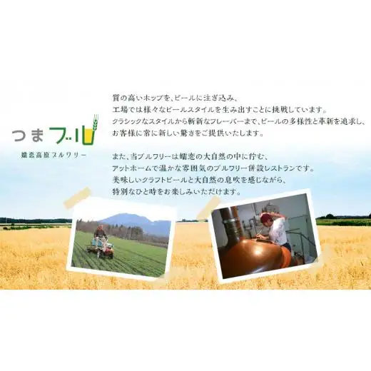 特選！群馬麦酒3本セット ビール クラフトビール 嬬恋高原ブルワリー 330ml 3本 [AA002tu]
