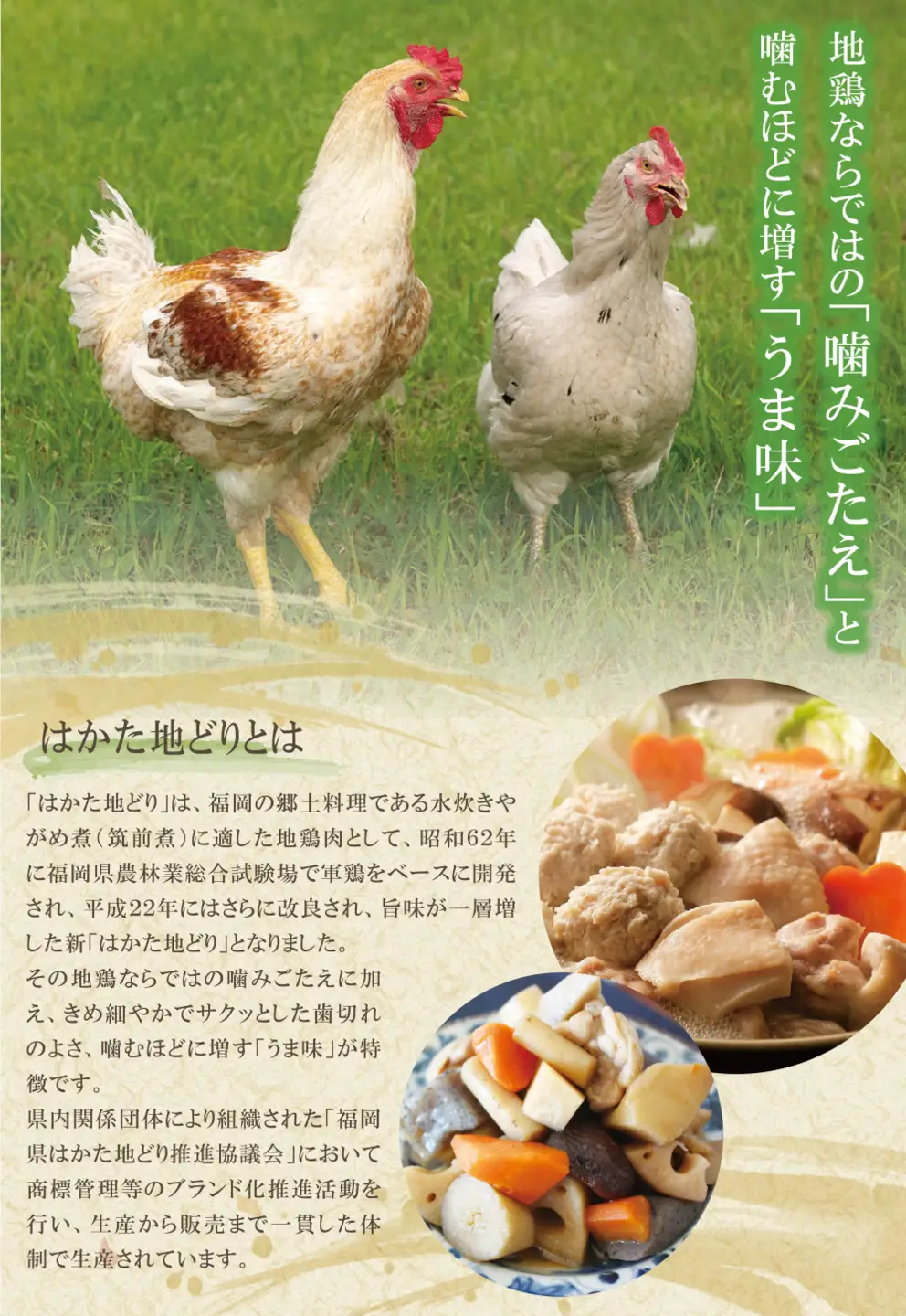 Z12-81 はかた地どり 炭火焼500g定期便(隔月・年6回)  地鶏