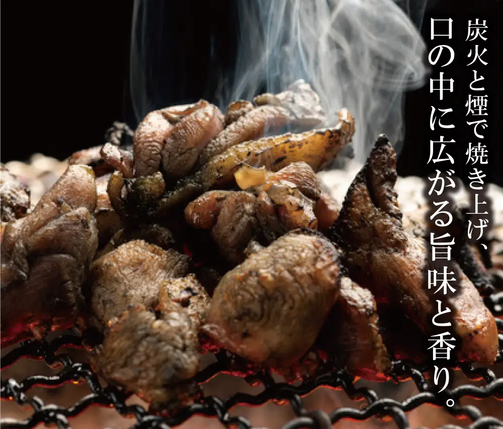 Z12-82 はかた地どり 炭火焼 ＆ (冬季)水炊き 定期便(隔月・年6回)  水炊き