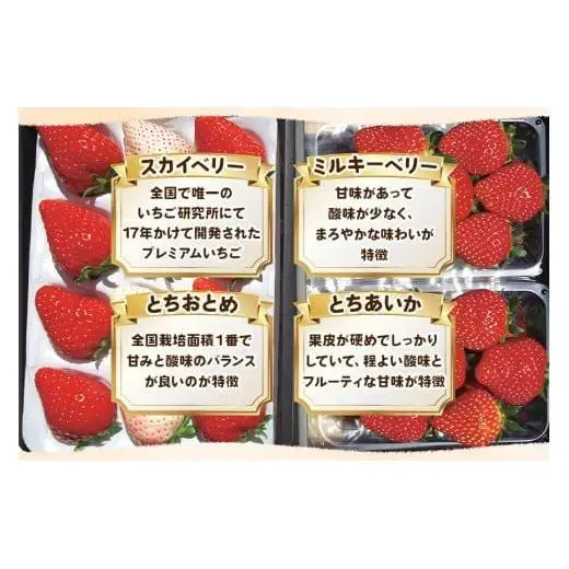 いちご4品種 食べ比べセット 960g （とちあいか・とちおとめ・ミルキーベリー・ スカイベリー）
