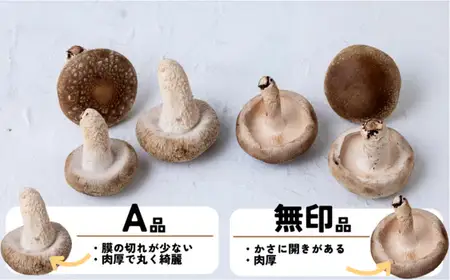 ファーム吉五郎　菌床シイタケA品1kg