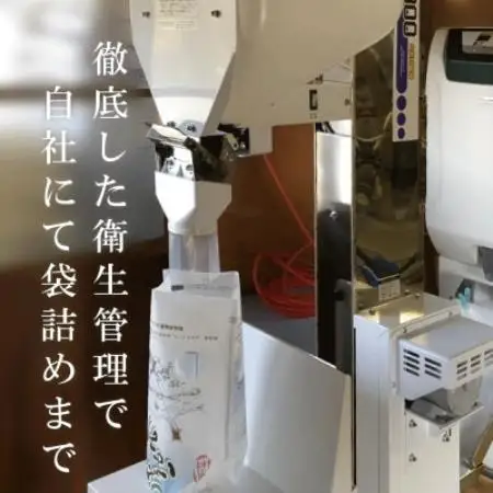 【毎月定期便】関川村産コシヒカリ精米5kg 丁寧に育てた贅沢米 [山口ファーム]全3回【4091711】