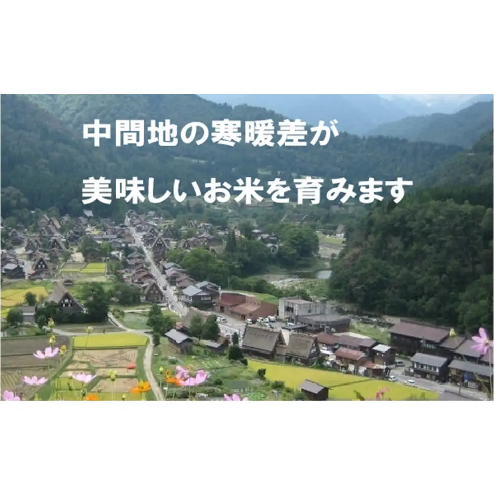 能登町産　特別栽培米　能登コシヒカリ（無洗米）　5kg