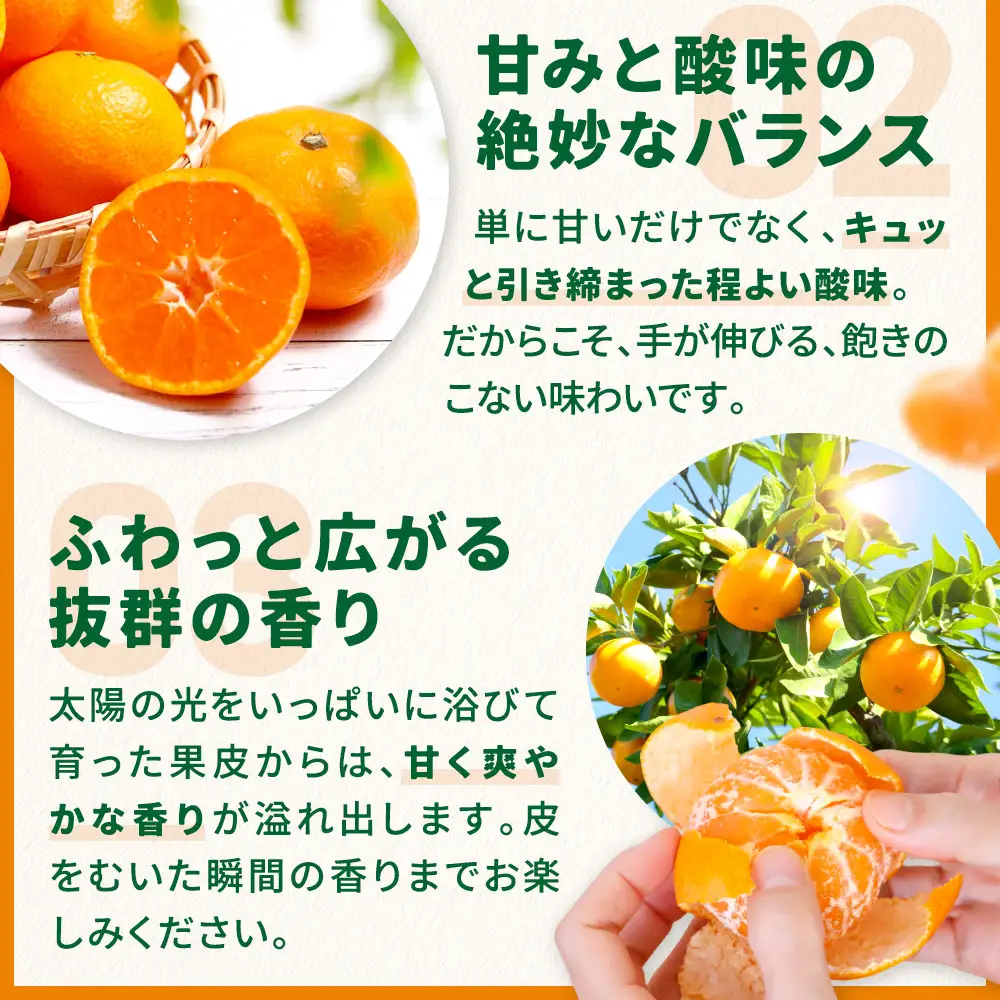 防府市西浦産のみかん 5kg 美日山 山口県 防府市 12-046-0001 みかん 5kg 温州みかん フルーツ 柑橘 果物 赤土 産地直送 美味しい 旬