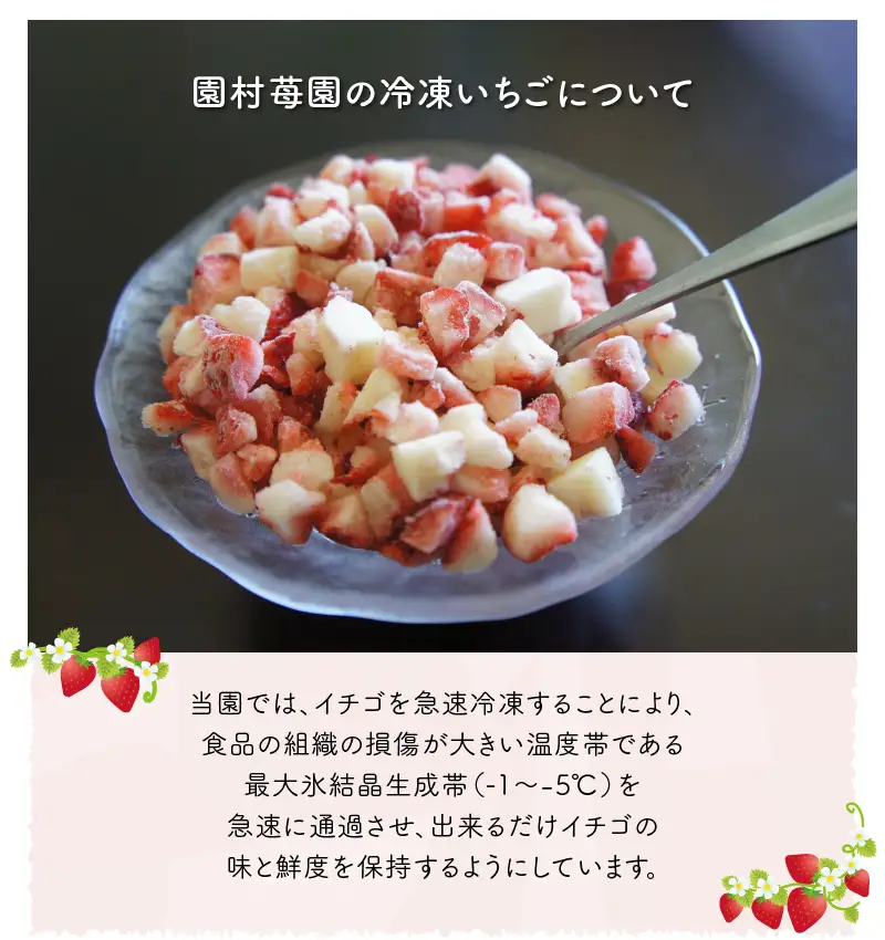 【先行受付】園村苺園　完熟冷凍いちご「ぷち苺」1kg（500g×2パック）【定期便 12回】_U74-T019_12