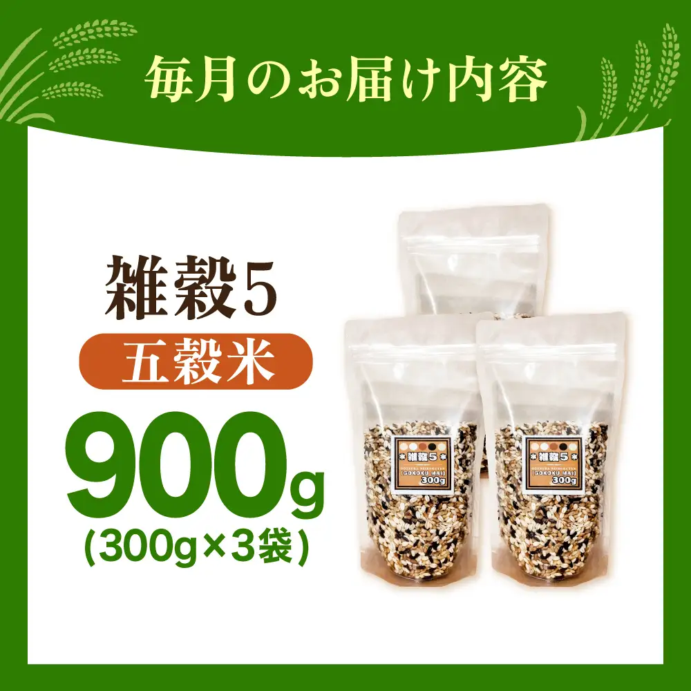 【全6回定期便】 雑穀5 900g（300g×3袋）佐賀県産五穀米 【大塚米穀店】[HBL189]