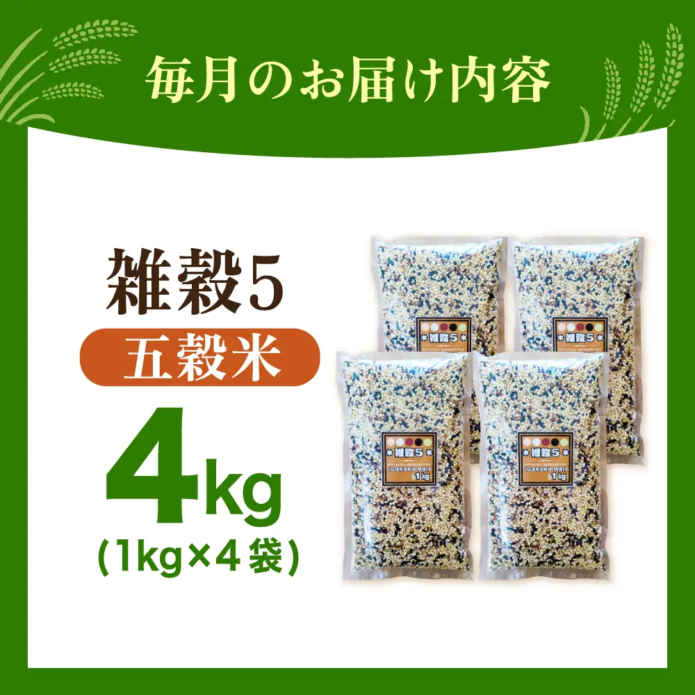 【全6回定期便】 雑穀5 4kg（1kg×4袋）佐賀県産五穀米 【大塚米穀店】[HBL192]