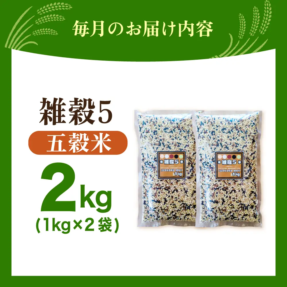 【全3回定期便】 雑穀5 2kg（1kg×2袋）佐賀県産五穀米 【大塚米穀店】[HBL194]