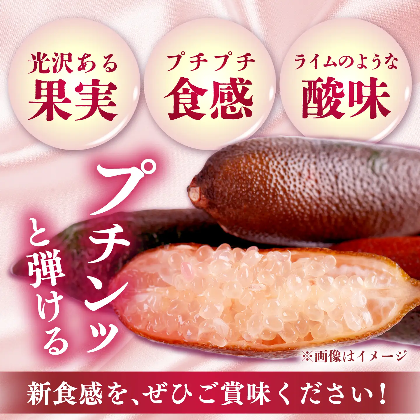 フィンガーライム 約200g（12～17本）【ピンク】　長与町/AKO果樹園[ECU001]