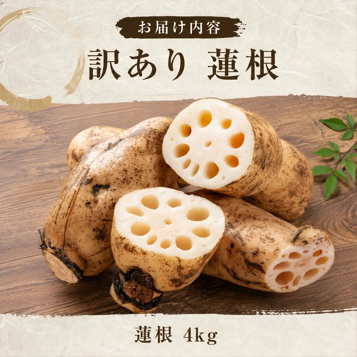 訳あり 洗い れんこん 4kg 農家直送