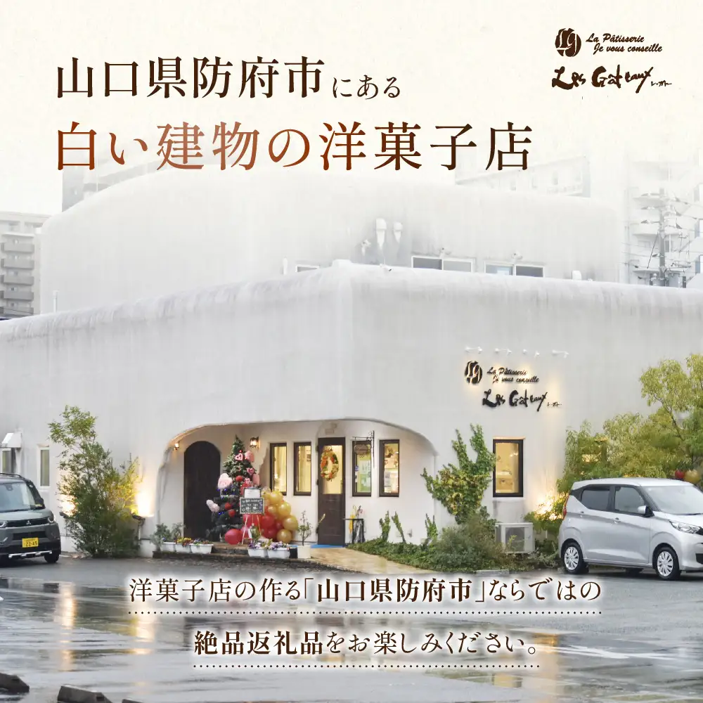 山口セレブ(30個入) 有限会社レ・ガトー 山口県 防府市 C-H07 洋菓子 スイーツ 焼菓子 ケーキ ギフト プレゼント ティータイム 個包装 おやつ 高級
