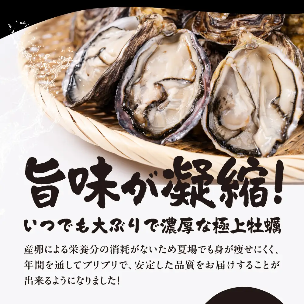 【数量限定】殻付き 生牡蠣（加熱用）2kg 軍手・牡蠣ナイフ付