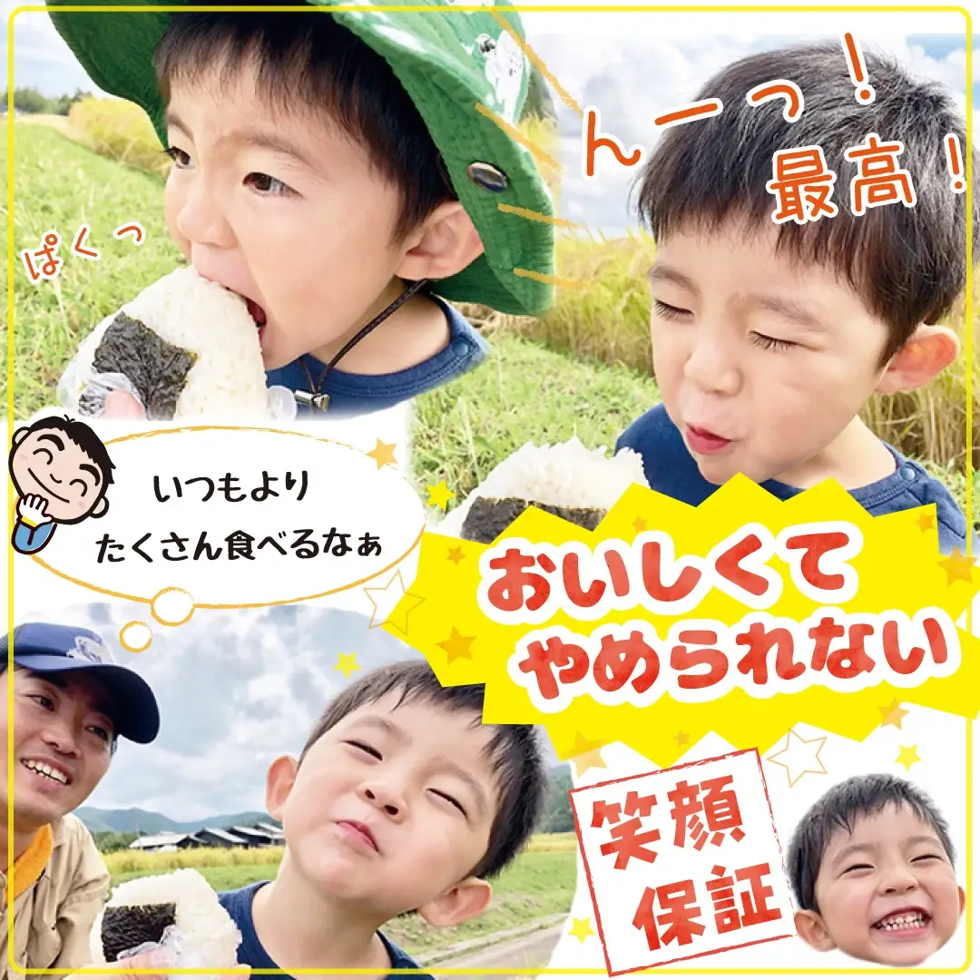 佐渡島産にじのきらめき 白米 20kg 令和8年産 特別栽培米 土屋農園 195962-041602