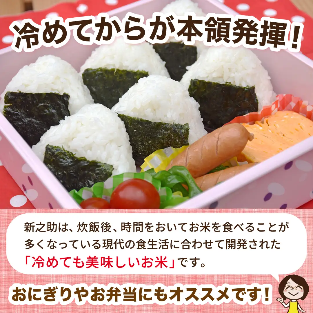 令和8年産 佐渡島産 新之助 玄米10kg