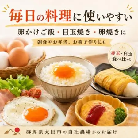 【毎月定期便】むかしの美味しい卵・心美卵 紅白食べ比べセット 60個(各30個)全6回【配送不可地域：離島】【4091603】