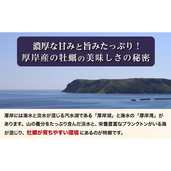 【2月～3月発送】北海道 厚岸産 ブランド牡殻かき 二種 食べ比べ (弁天かき＆カキえもん)　8個 牡蠣 魚貝類 生牡蠣 殻付き牡蠣 カキ