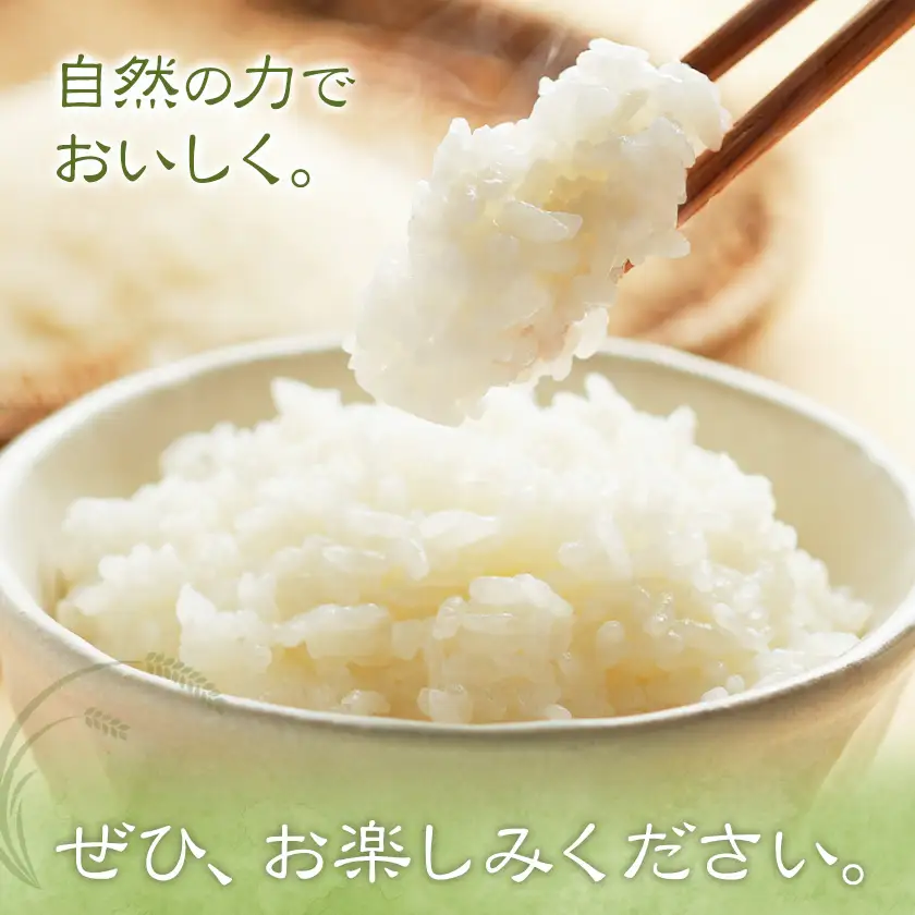 上野さんちのお米 10kg THANTEAMS《11月上旬-1月下旬頃出荷》
