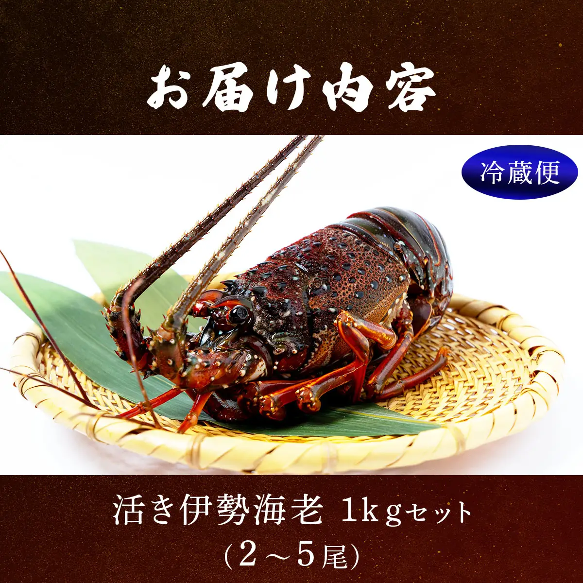 【先行予約】【期間限定】活き伊勢海老 1000gセット（2～5尾）生きた伊勢海老　初物　朝どれ　縁起物　エビ　