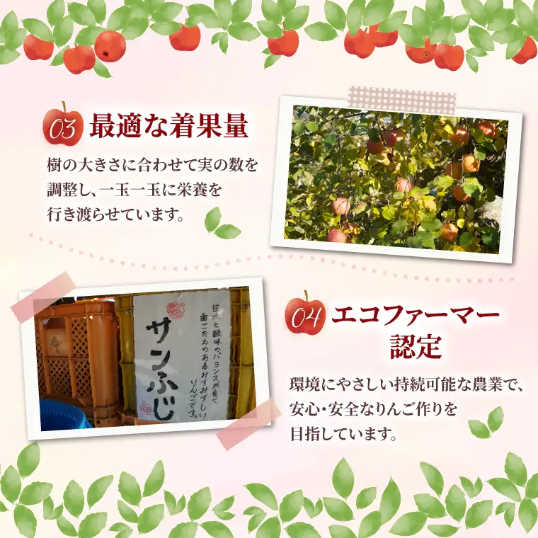 【先行予約】仲野りんご園の奥久慈りんご（各種詰め合わせ）約3kg（9～12玉）｜茨城県 大子町 エコファーマー 樹上完熟 林檎 アップル 紅玉 秋映 陽光 シナノスイート 食べ比べ 果物 フルーツ 旬 秋 味覚 ギフト 贈答（DF002）