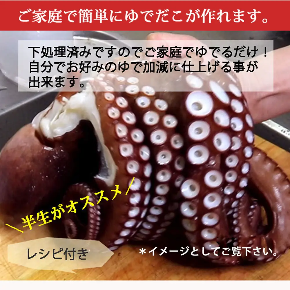【お歳暮】活き締め真たこ1ぱい約1kg　レシピ付き 蛸 生 刺身