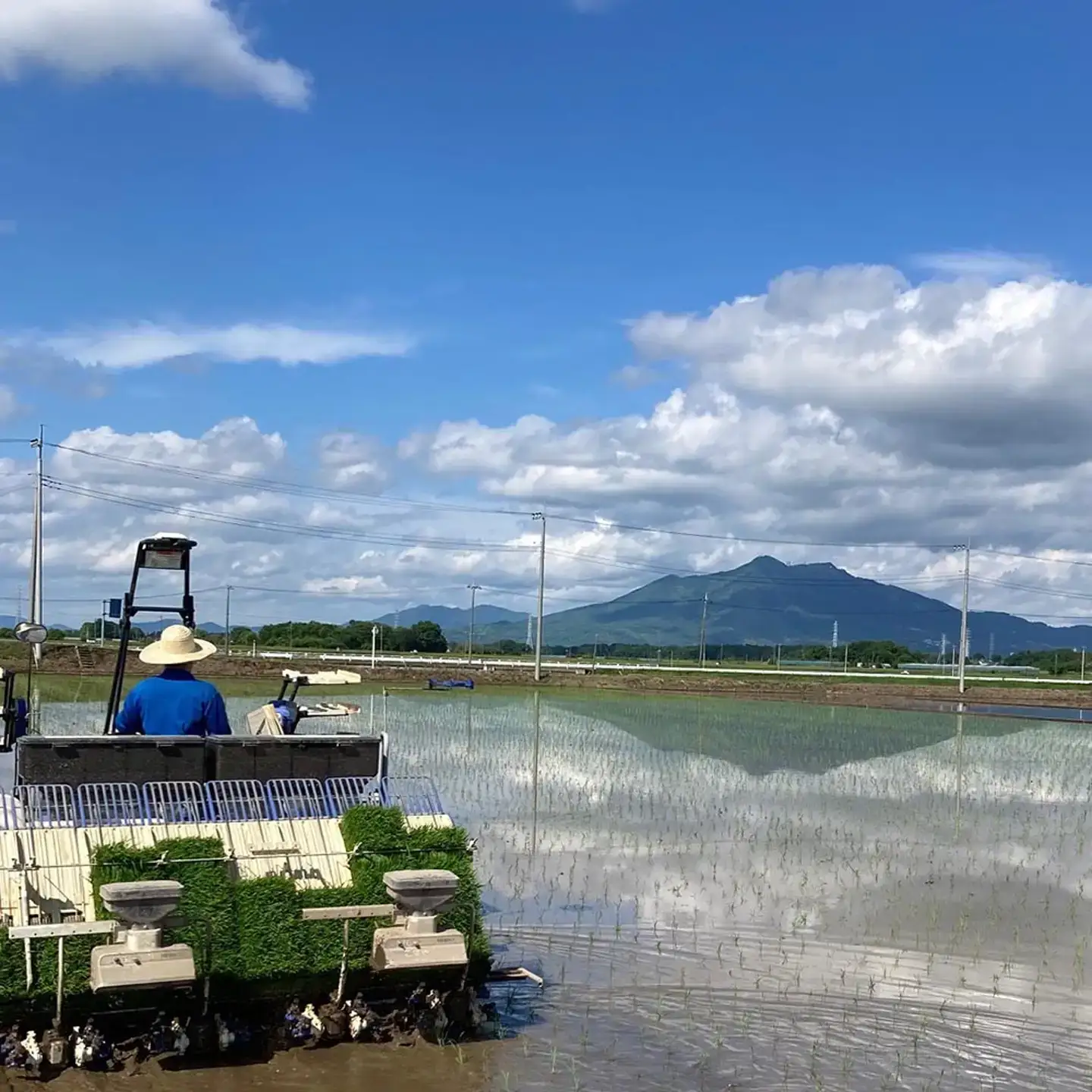 米 精米 R7年産 コシヒカリ 10kg 3月