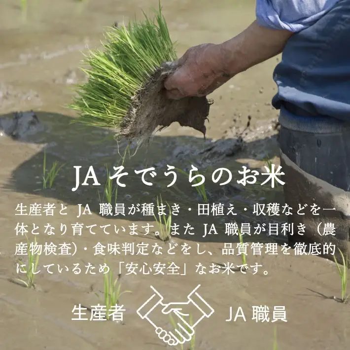 SG0191　10月中旬発送開始／【6回定期便】令和8年産［精米］ひとめぼれ　5kg×6回(計30kg) JS