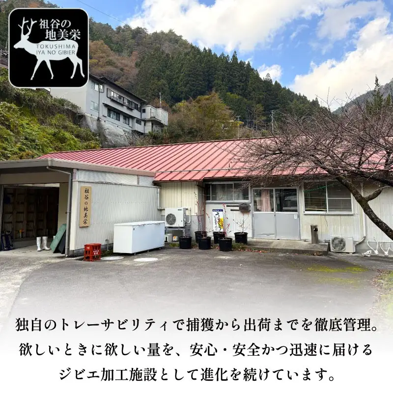 鹿肉メンチカツ 10個 1パック 三好市 ドリームチーム