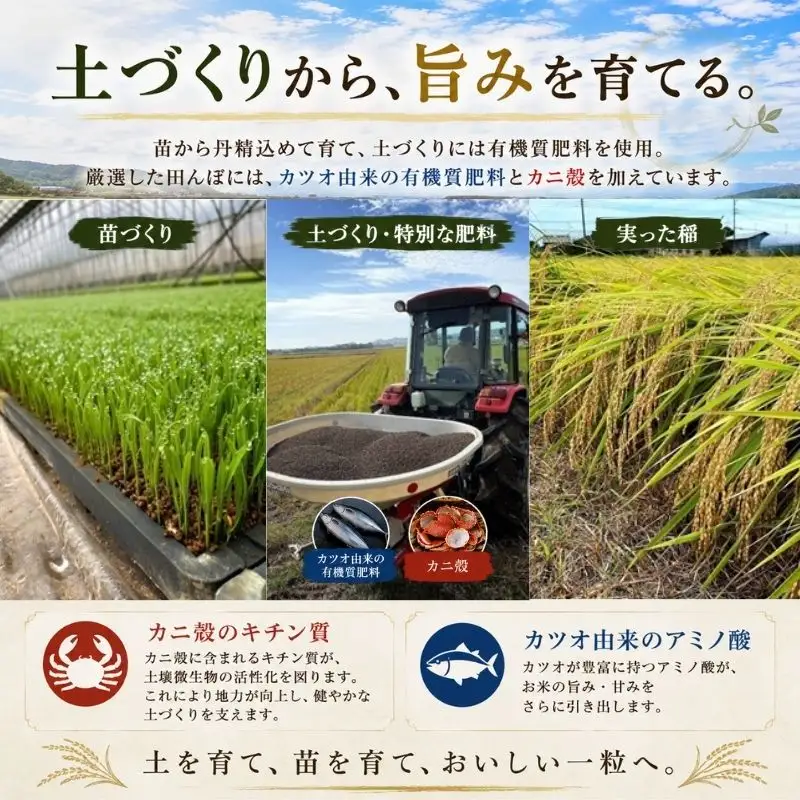 千葉県一宮町産特別肥料栽培『カツオ＋カニ』コシヒカリ（白米10kg）令和8年度産米【2026年発送分】