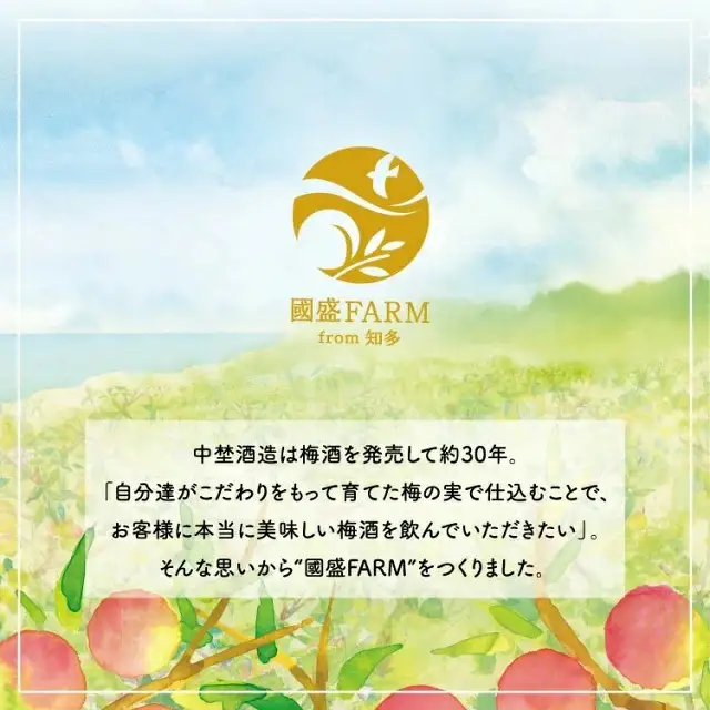 【定期便3回】梅シロップ420g×3本