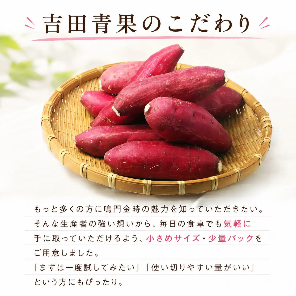 サツマイモ なると金時 2kg 鳴門金時 