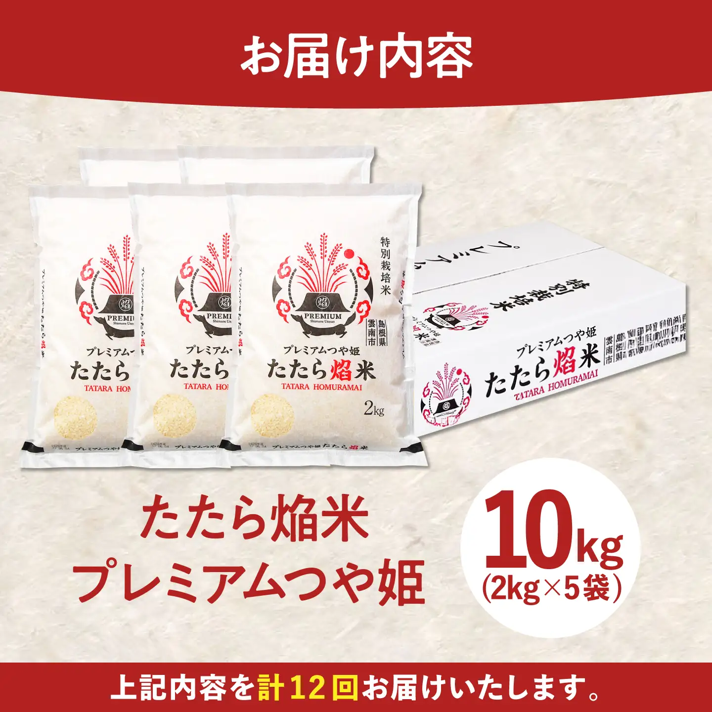 新米 【12回定期便】 プレミアムつや姫 10kg 新米 [AIBR024-r8]