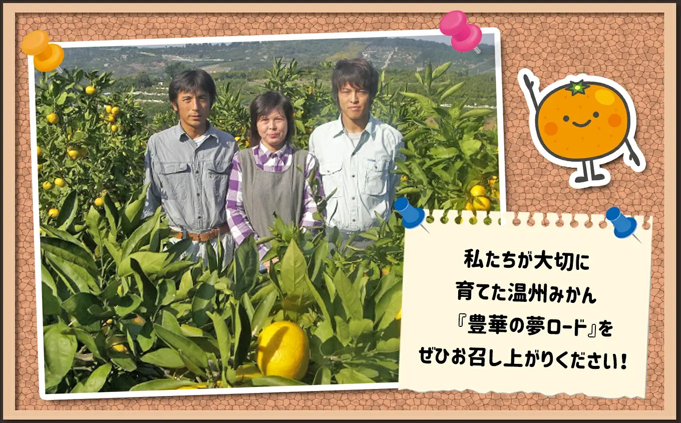 ≪家庭用≫こだわりみかん 10kg |  豊華の夢ロード