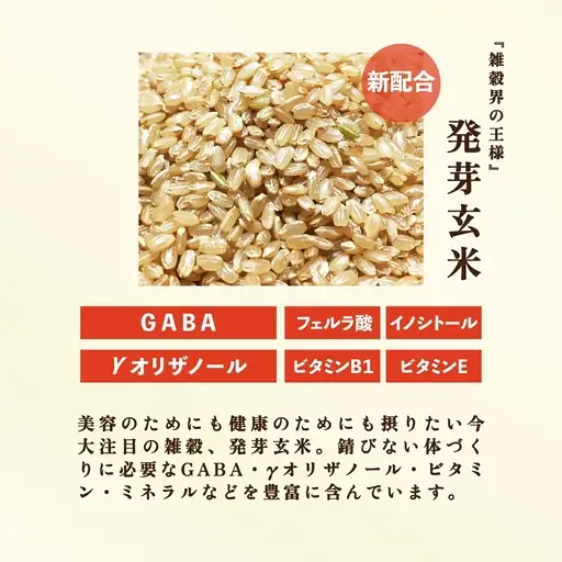 【玄米 黒米】  国産100% 雑穀6種  パックご飯 36個 パックご飯