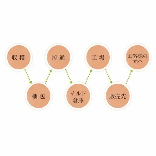 栗 くりはちのやきぐり 2箱 丹波栗 FN-Limited-SP BSEF002