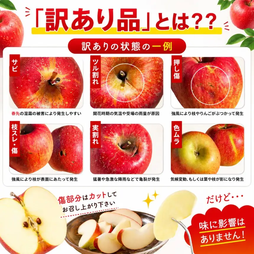 訳あり りんご 完熟 ふじ 10kg 箱｜【11月下旬より順次お届け】リンゴ 林檎 フルーツ 果物 栃木県矢板市産