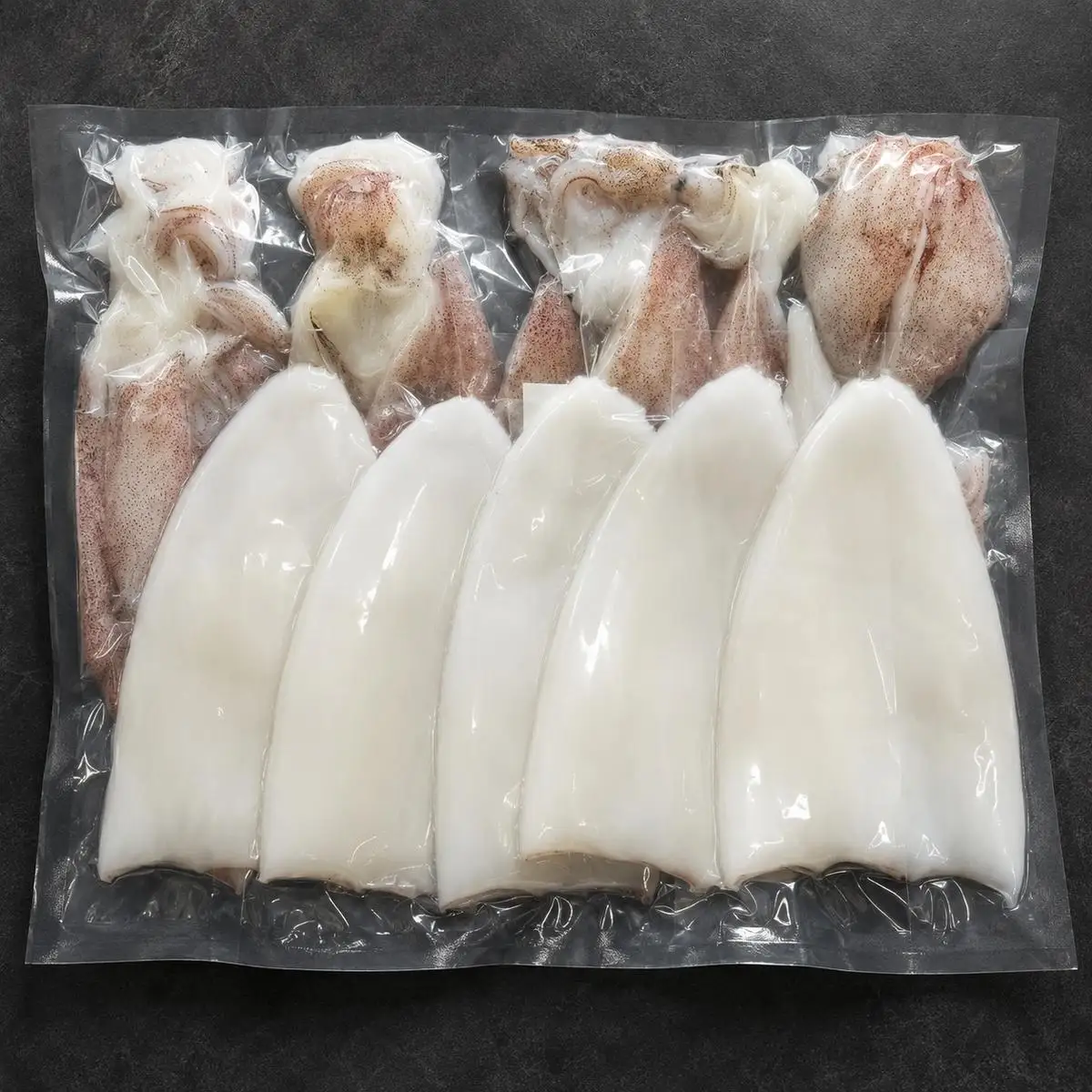 【2026年2月以降順次出荷】【京都産 刺身 OK】朝どれ 1kg 白いか イカ 剣先イカ 肴 人気返礼品 朝どれ