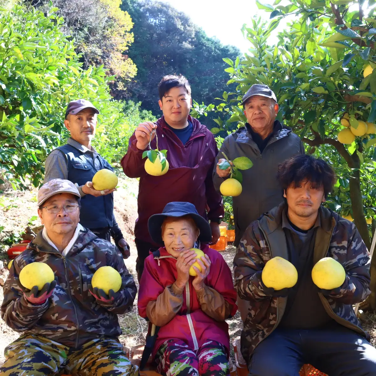 香る！さっぱり！岡林さんの土佐文旦　家庭用10kg
