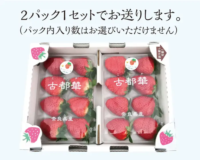 甘さ格別！奈良の高級いちご「古都華」2パックセット ※2027年1月～発送