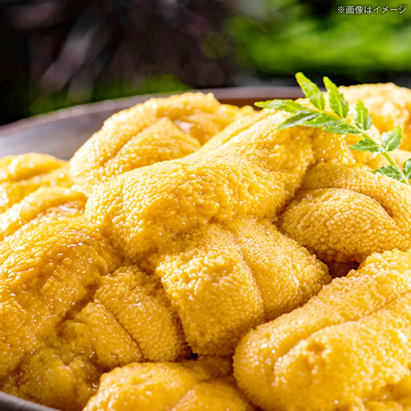 リ・ウニ Re:UNI ガンガゼうに 70g×5本 / ウニ 雲丹 五島市 / うた丸