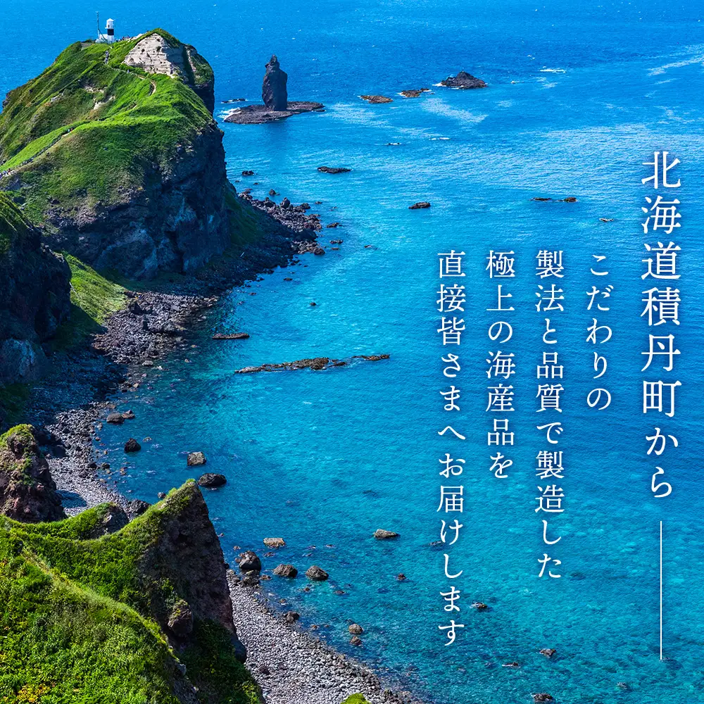≪12月発送≫いくら醤油漬け250g2箱＜大川商店＞