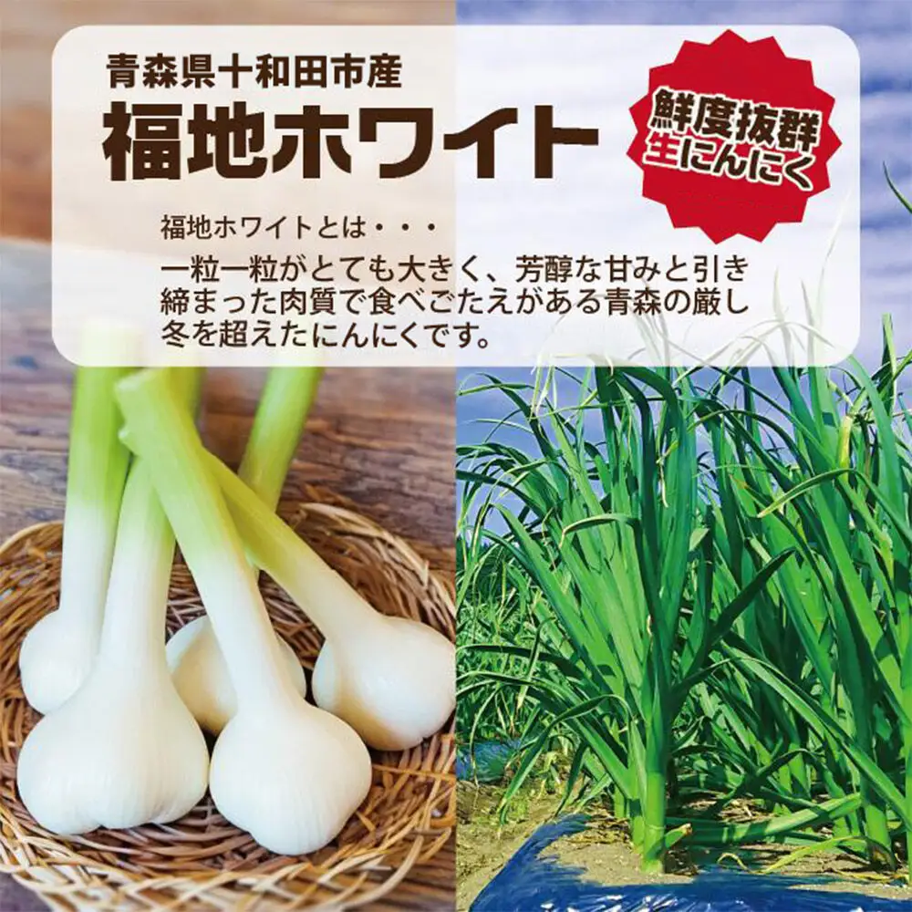 生にんにくで作った黒にんにく（熟成黒にんにく）黒丸300g 約1ヶ月分