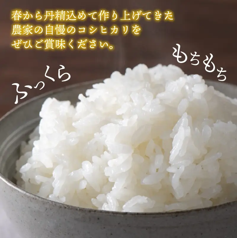【先行予約】白山の恵み 令和8年産 コシヒカリ精米（10kg）※2026年10月上旬以降順次発送予定 [A-009011]