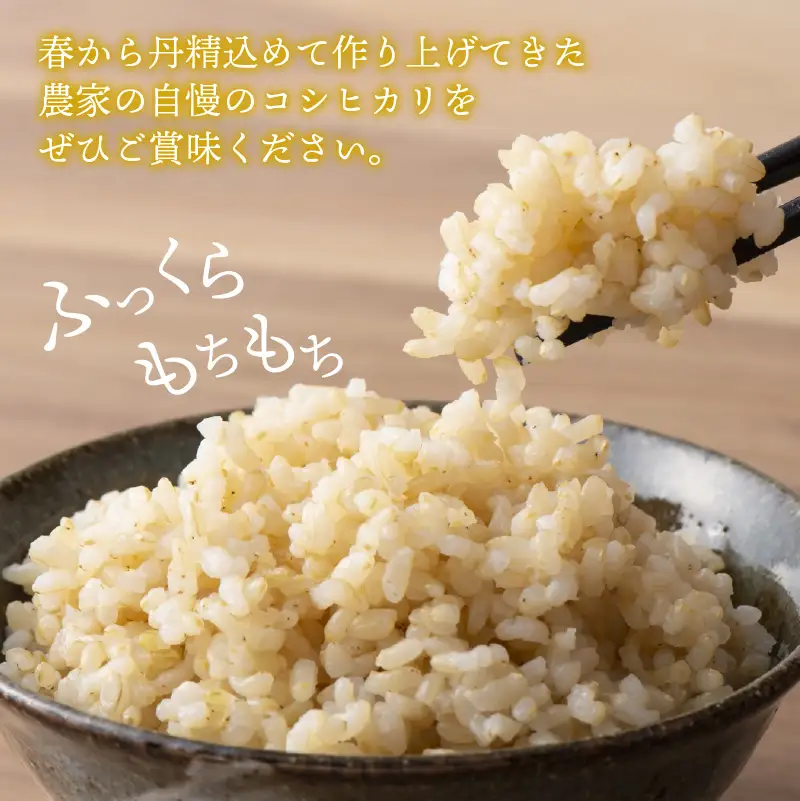 【先行予約】白山の恵み 令和8年度産 コシヒカリ玄米（10kg）※2026年10月上旬以降順次発送予定 [A-009012]