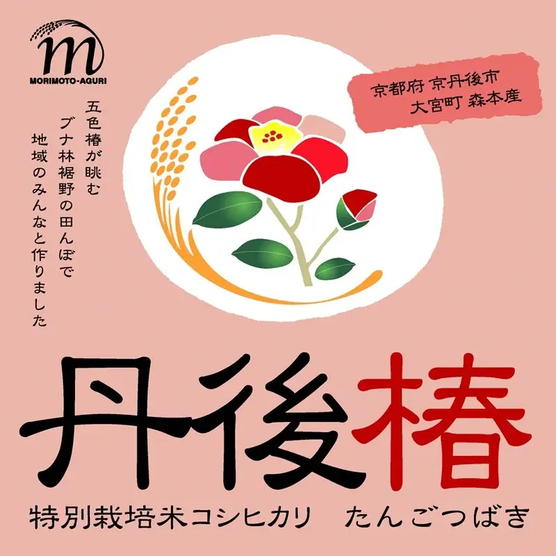 令和8年産 特別栽培米コシヒカリ 丹後椿（京丹後森本産） 2kg【定期便6回】