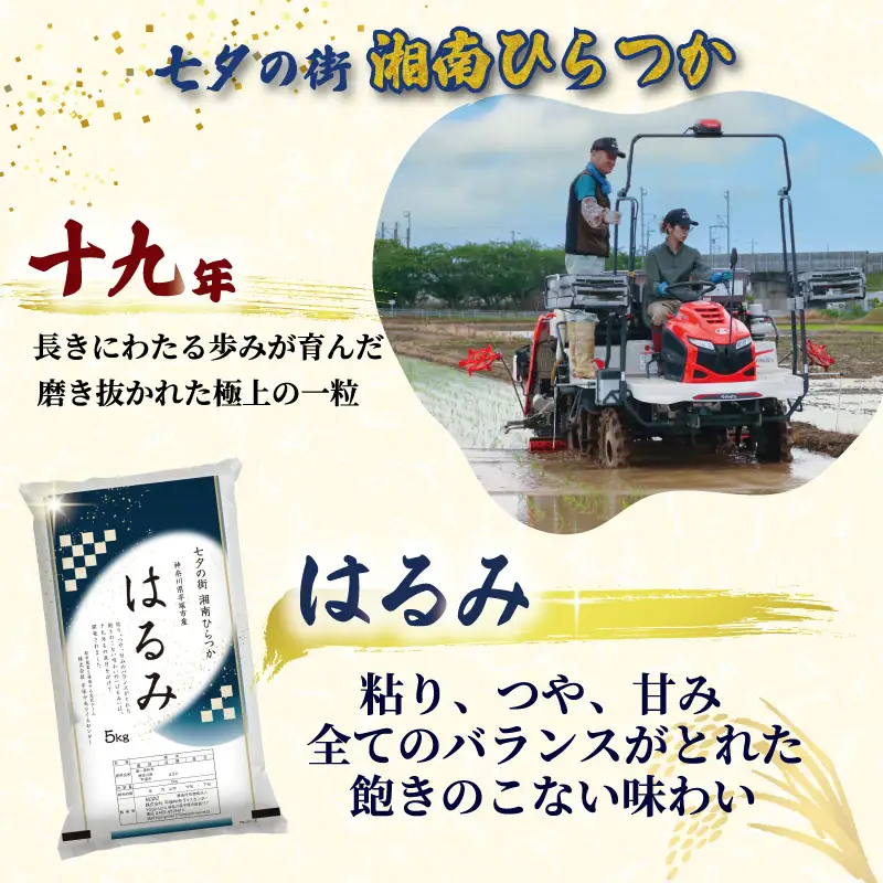 新米 はるみ 5kg [定期便2ヶ月] 令和8年産 新米