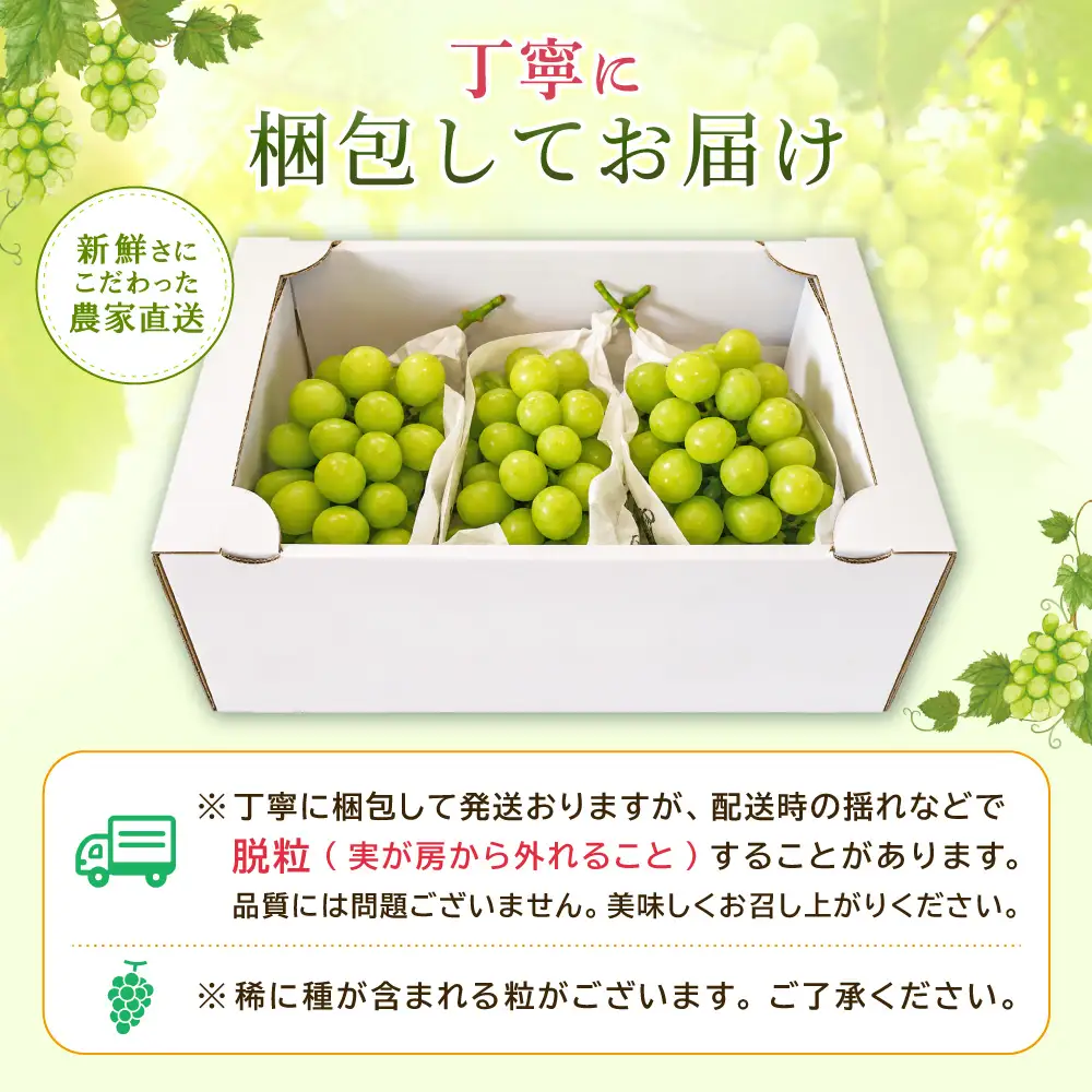 大分県産 シャインマスカット 約1kg (2～3房) 2B2