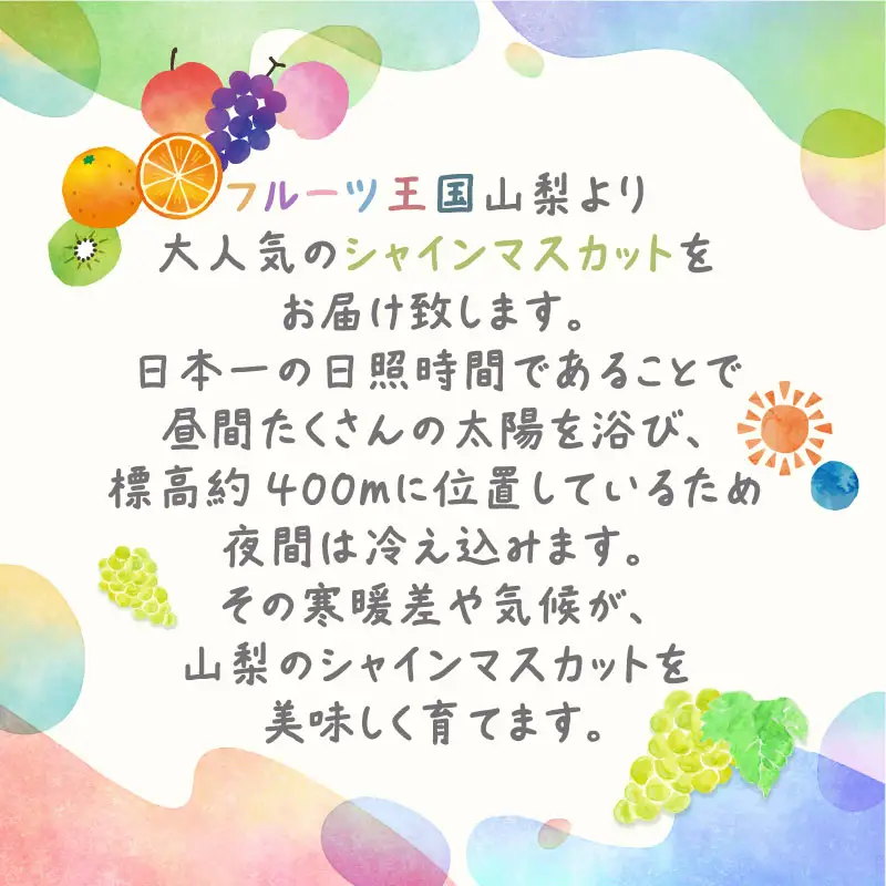 【2026年オンタイム】シャインマスカット 約1.5kg （粒）