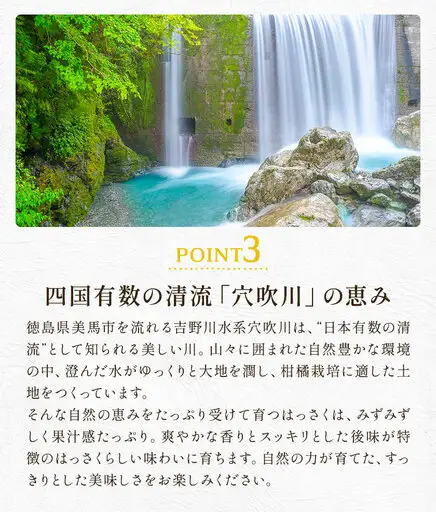 はっさく 9kg 訳あり 八朔